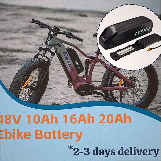 48V 10Ah 16Ah 20Ah Lithium EbikeBattery Pack for 0-1500W Electric Bicycle Motors