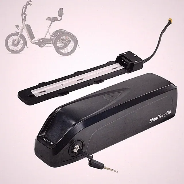 48V hailong battery For RadRunner 2 RadExpand 5 RadWagon 4 Electric Bike battery