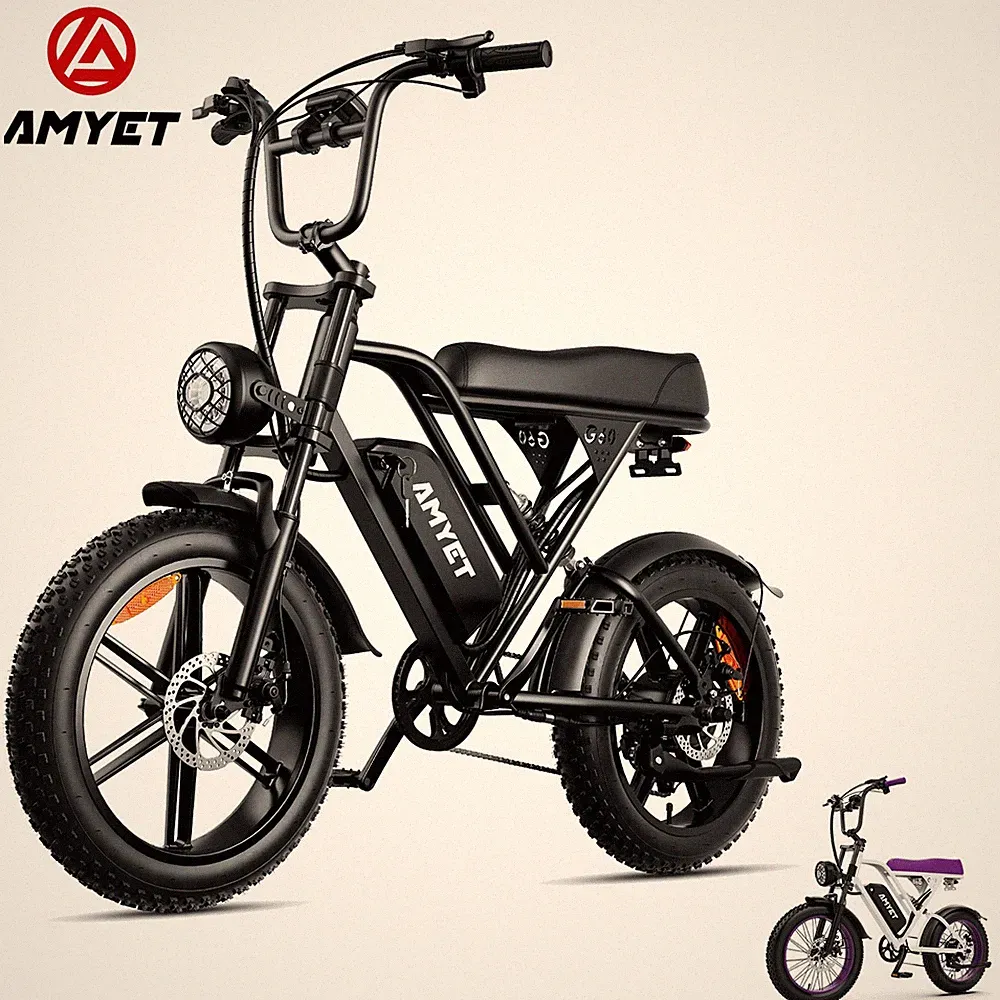 AMYET G60 20" Fat Tire Electric Bike For Adults 1500W 48V 20Ah Mountain Ebike US