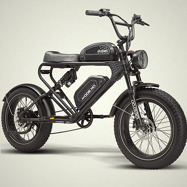 MEELOD DK300PRO Electric Motorcycle 1200W Peak 30Ah 20'' E-mountainbike 7-Speed