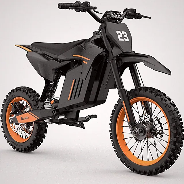 Pazolle 48V 3000W 30Ah Electric Bike For Adult Electric Mountain Bike Adventure