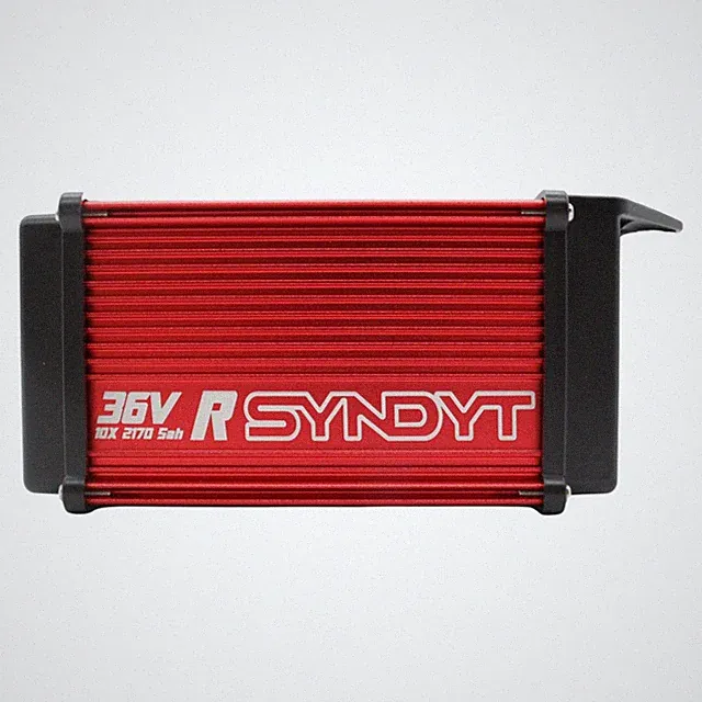 SYNDYT SYR 160 36V 5Ah Race Battery for 350W E-Bikes